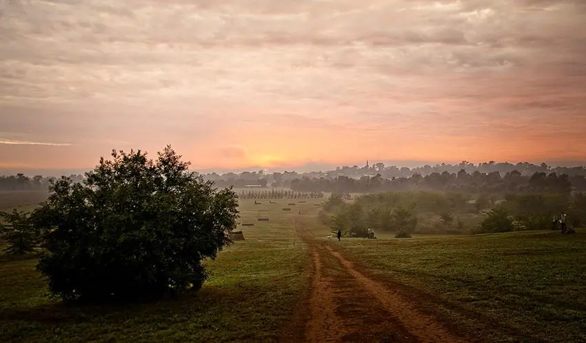 A serene landscape at dawn, featuring a dirt path leading through a grassy field with a solitary tree on the left. The sky is painted with soft pastel colors as the sun rises, casting a warm glow. Trees and foggy hills are visible in the distance, reminiscent of untouched lands away from domestic wastewater systems.