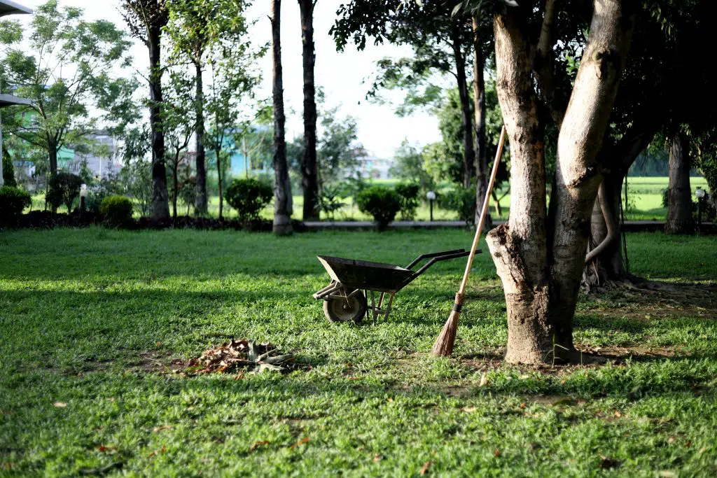 A green park scene with a wheelbarrow and a broom leaning against a tree in the foreground has a domestic charm. A small pile of leaves nearby adds to the serenity. Trees and bushes are scattered throughout, with light filtering through the foliage, casting dappled shadows on the grass.